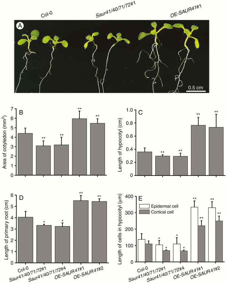 Fig. 4.