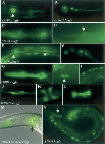 Figure 3.