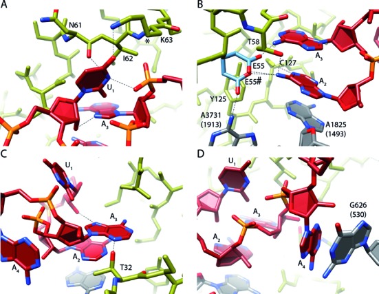 Figure 5.