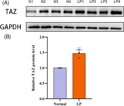 FIGURE 4