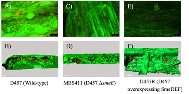 FIGURE 6