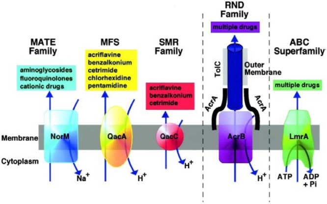 FIGURE 1