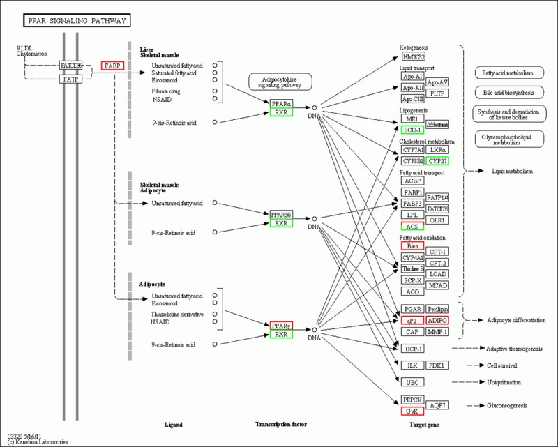 Fig 12