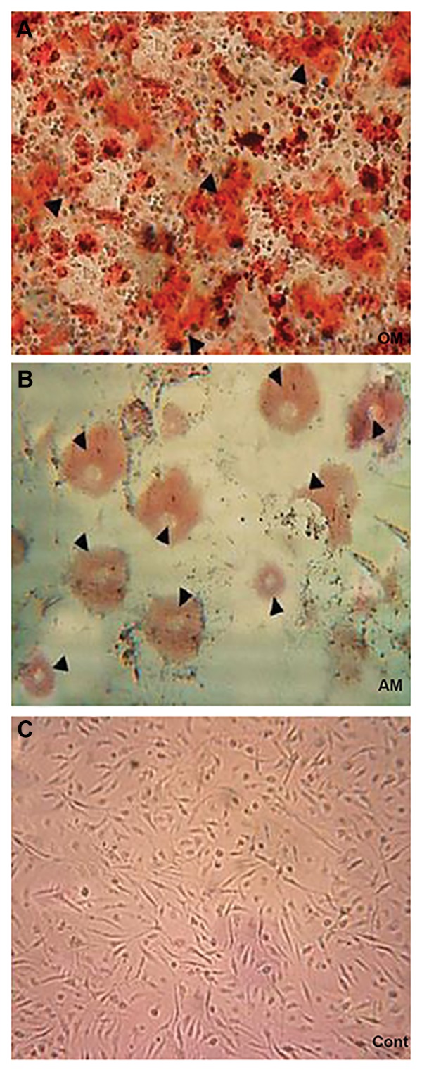 Fig.1