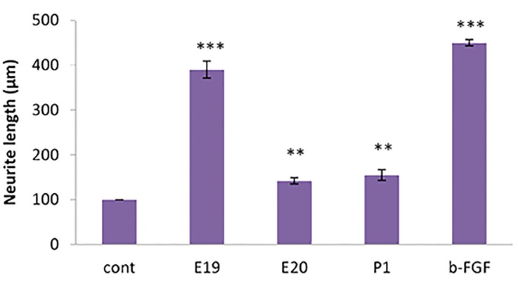 Fig.4