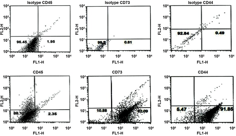 Fig.2