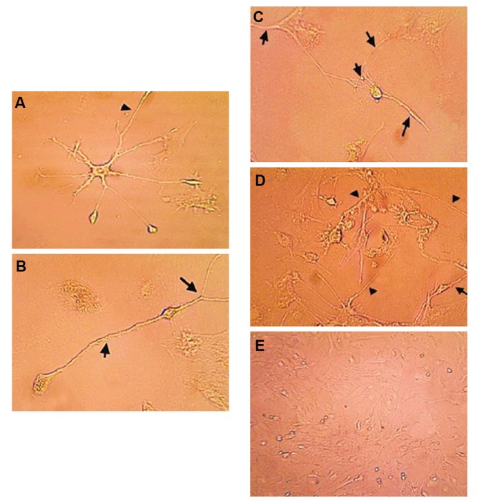 Fig.3