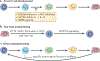 Figure 4 |