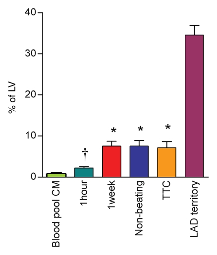 Figure 5: