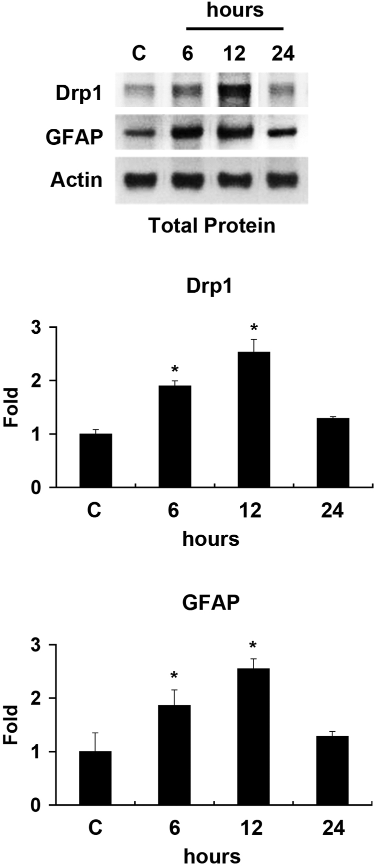 Figure 1.