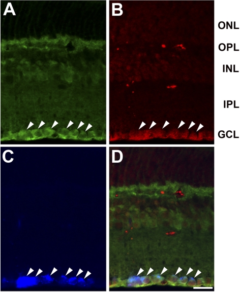 Figure 4.