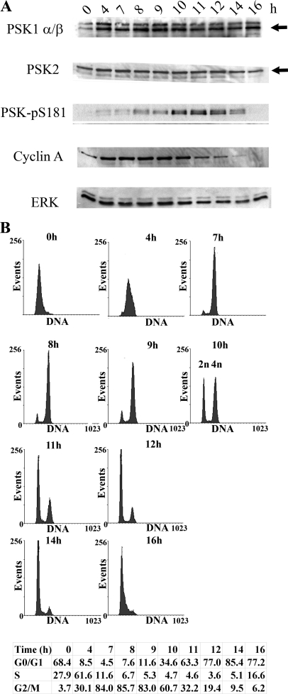 FIGURE 3.