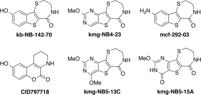 Fig. 8.