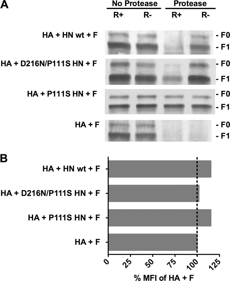 Fig 5