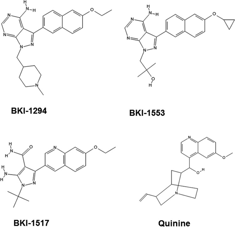 FIG 1