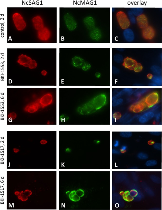 FIG 3