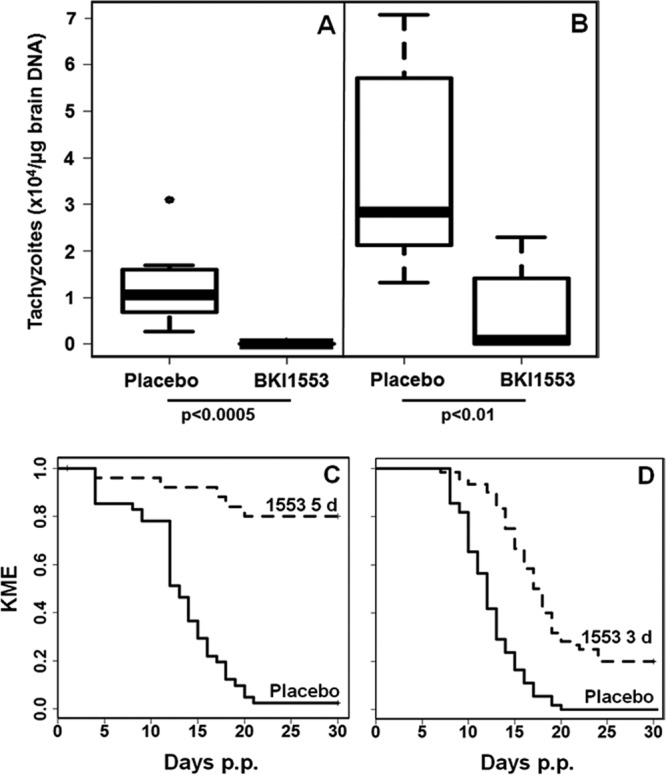 FIG 6