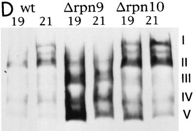 FIG. 6