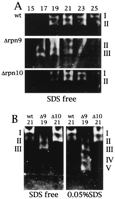 FIG. 7