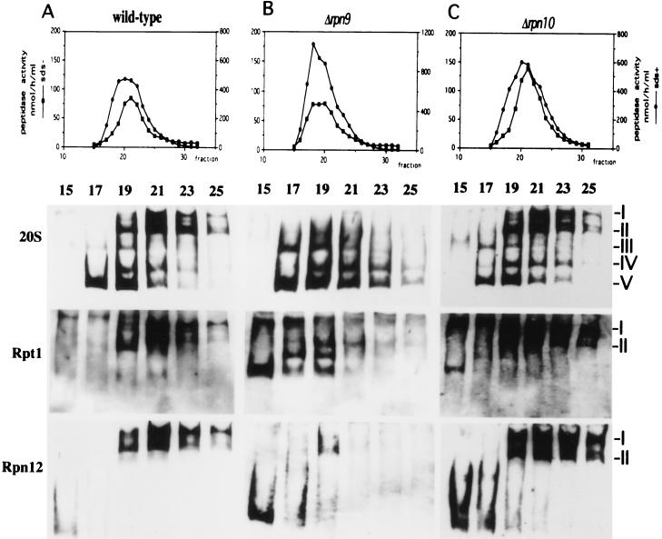 FIG. 6