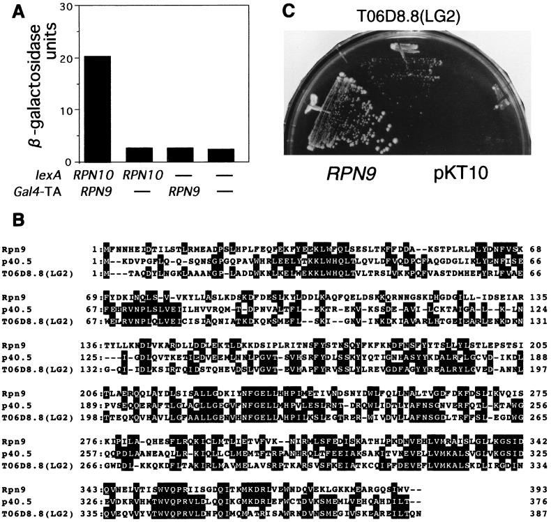 FIG. 1