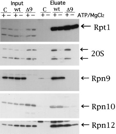 FIG. 5