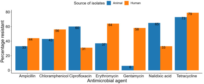 Figure 7