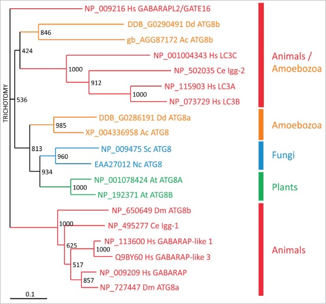 Figure 6.