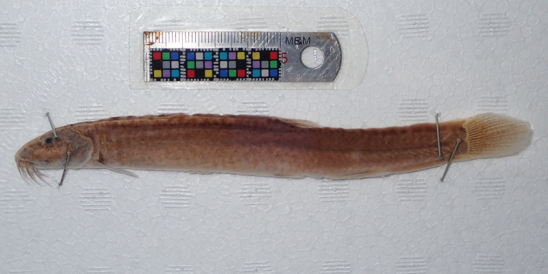 Figure 3.