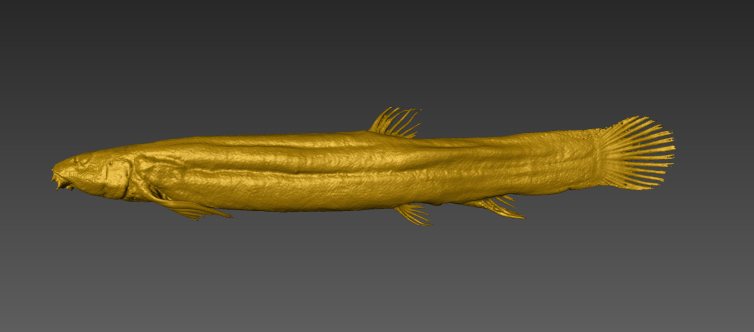 Figure 4.