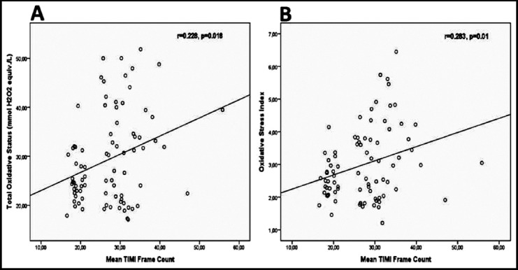 Fig.1