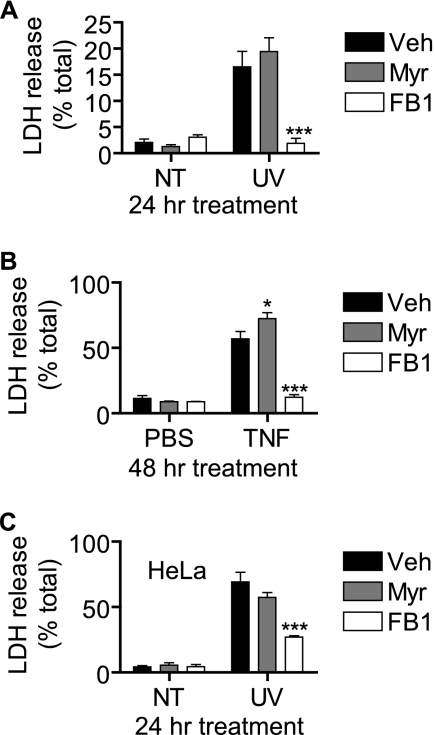 FIGURE 11.