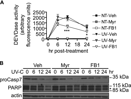 FIGURE 10.