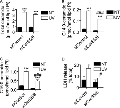 FIGURE 13.