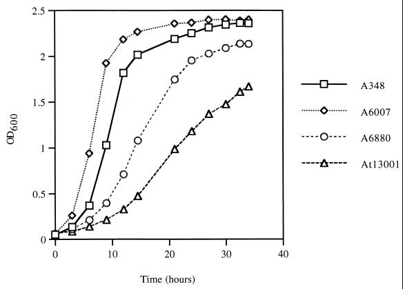 FIG. 1