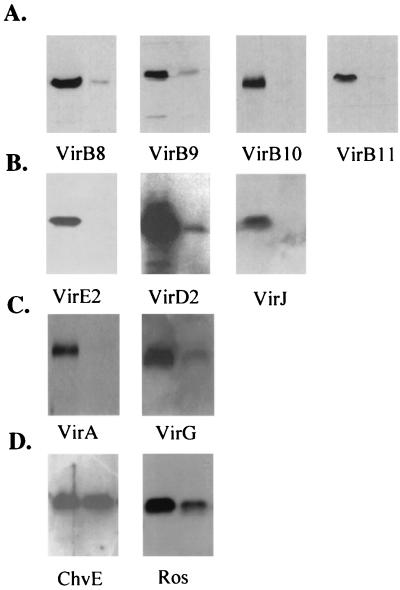 FIG. 6