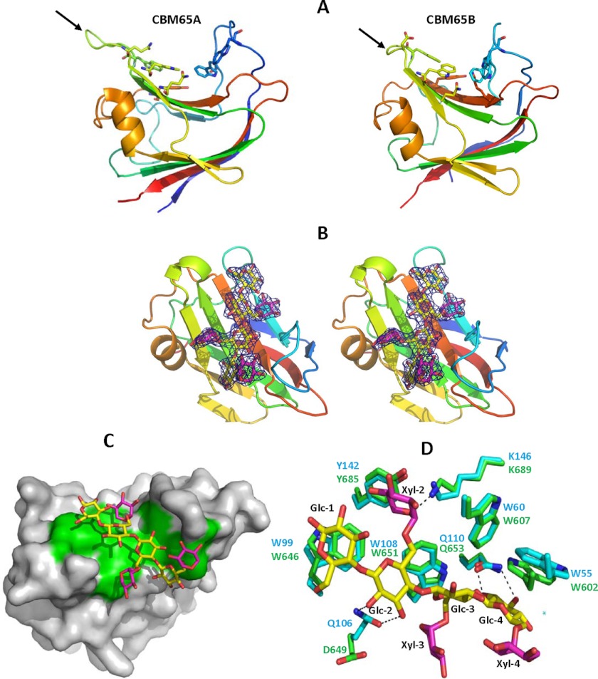 FIGURE 4.