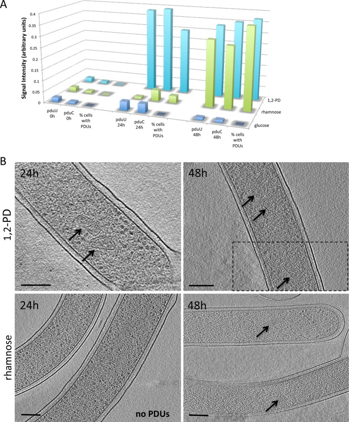 FIG 3