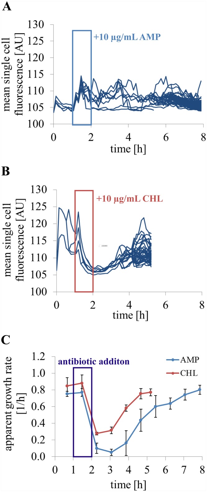 Fig 10