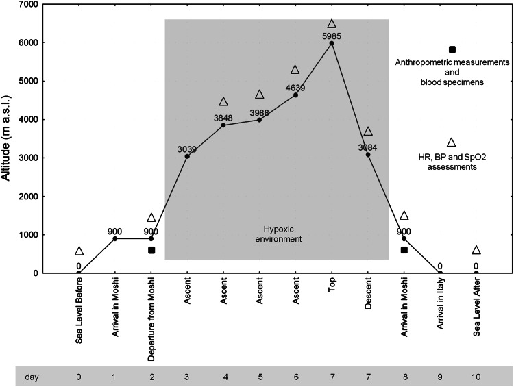 Fig. 1