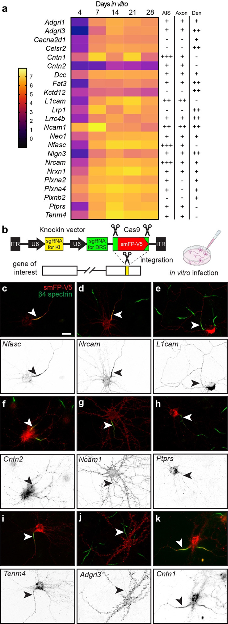 Figure 4.