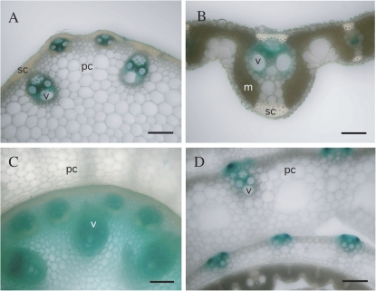 Fig. 6.