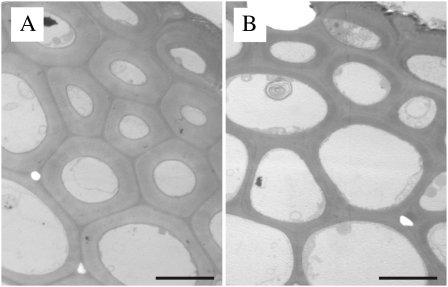 Fig. 5.