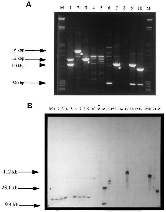 FIG. 1