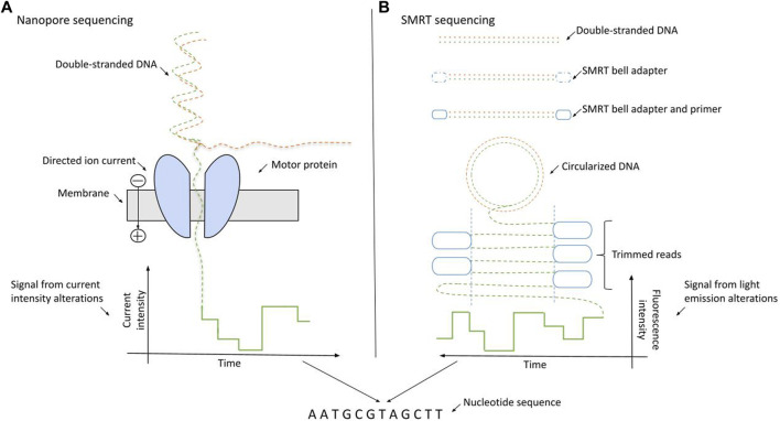 FIGURE 1