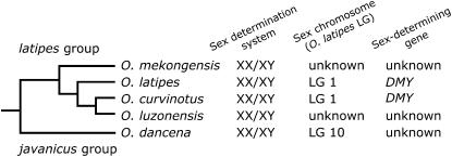 Figure 4.—