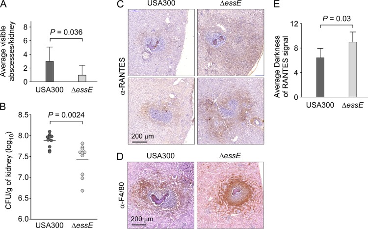 FIG 6