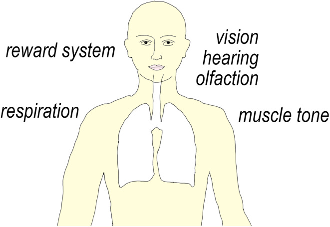 Fig. 4