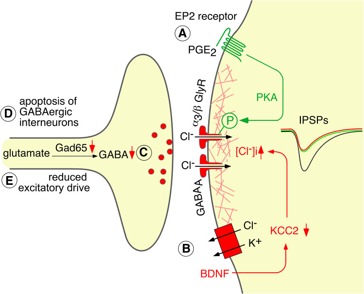 Fig. 2