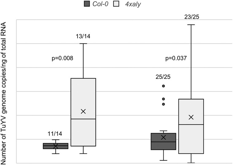 Figure 7.